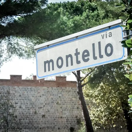 Delfo Penzion Pisa